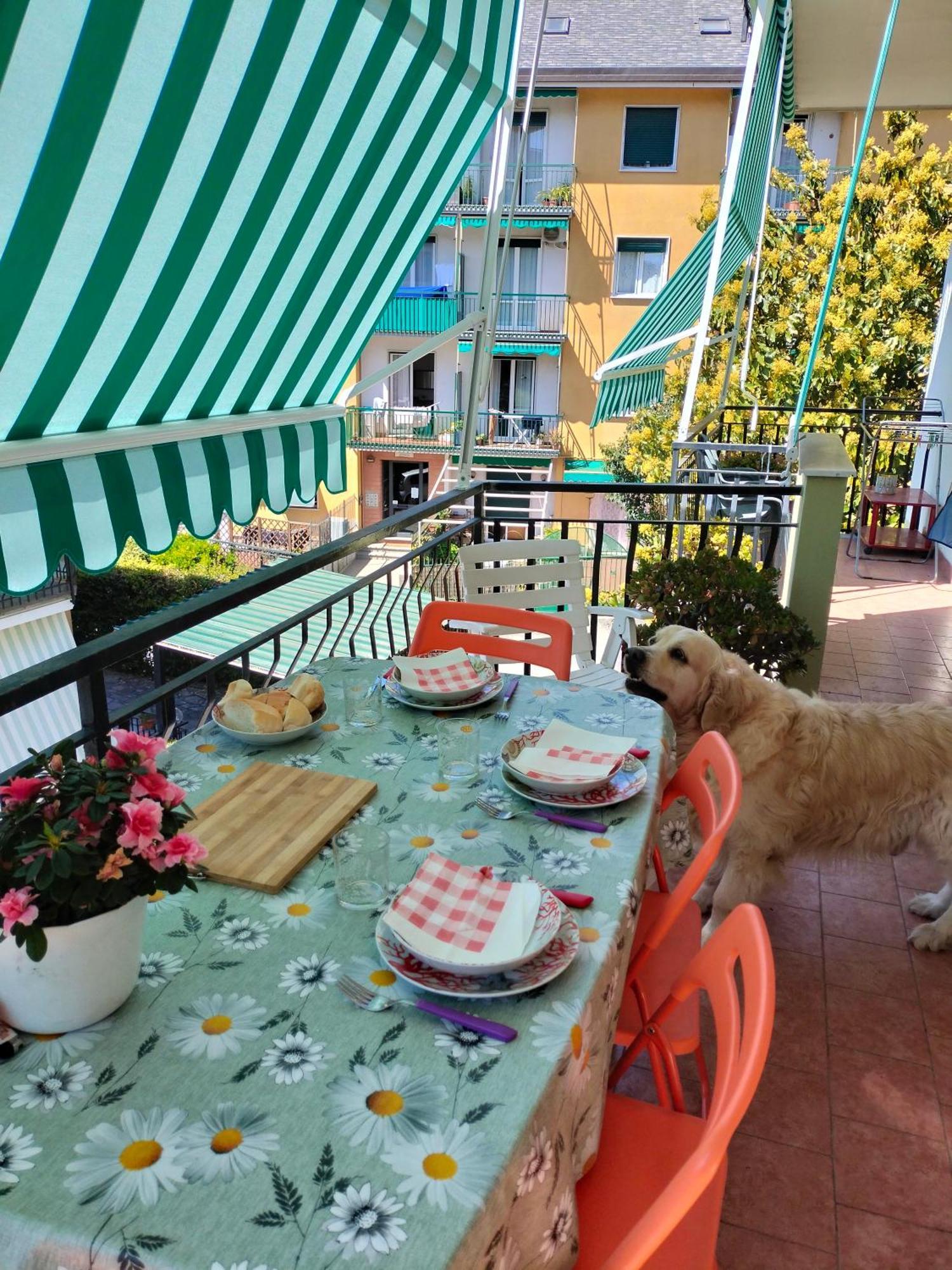 Yellow Submarine Freeparking Petfriendly Rapallo Exterior photo