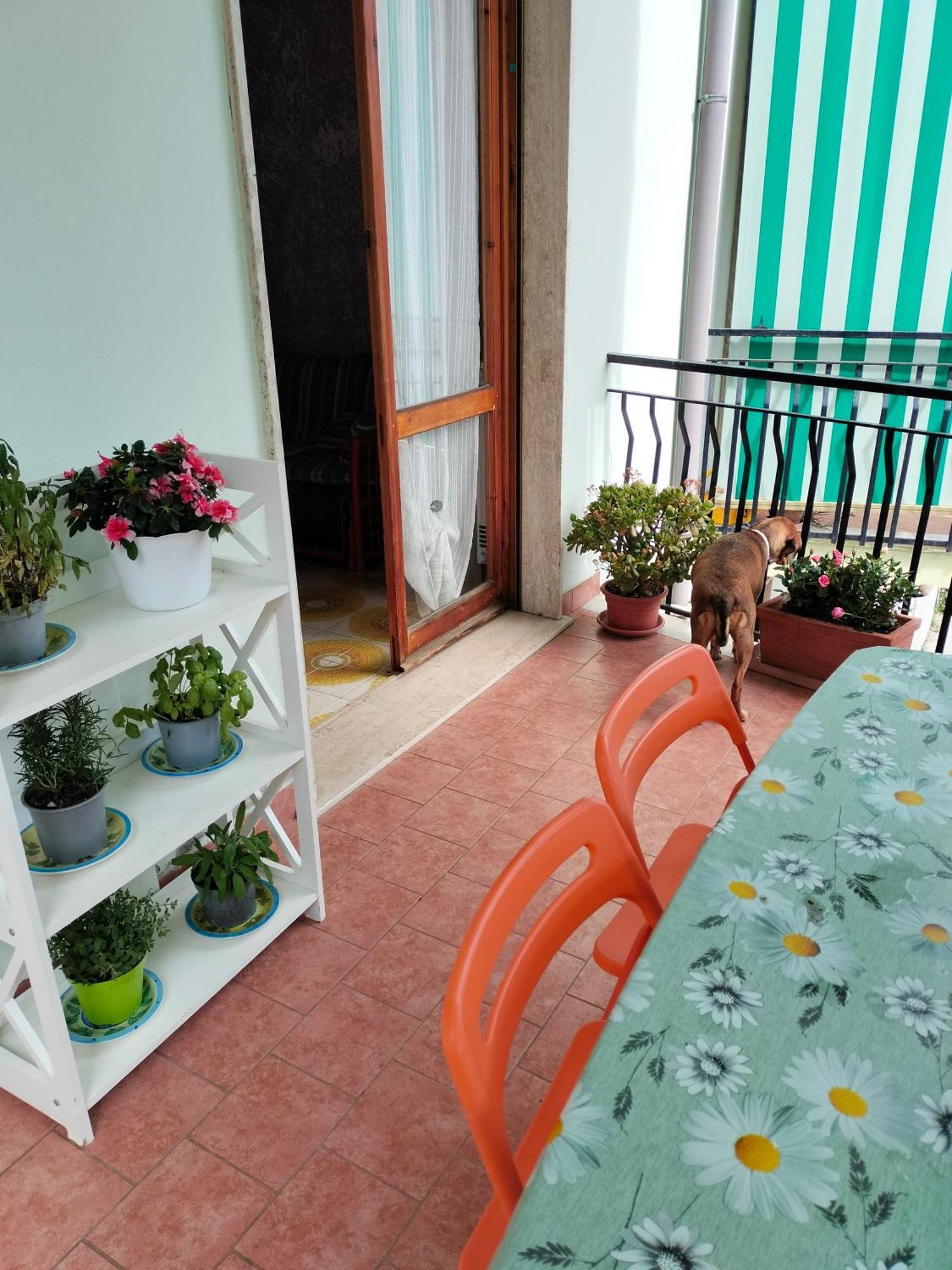 Yellow Submarine Freeparking Petfriendly Rapallo Exterior photo